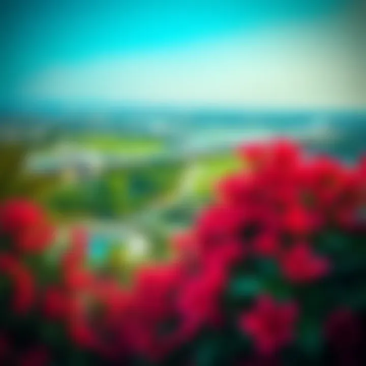 A panoramic view of the lush landscapes in حديقة الرقايب, showcasing its vibrant flora.