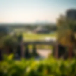 A panoramic view of Al Mahatta Park showcasing its lush greenery