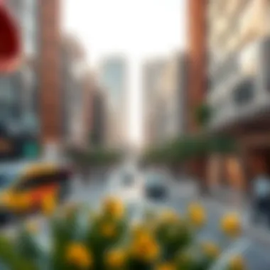 Vibrant Commercial District An upscale commercial district in Dubai bustling with activity