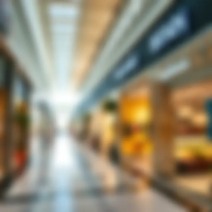Interior view showcasing the diverse shops at Bawadi Mall