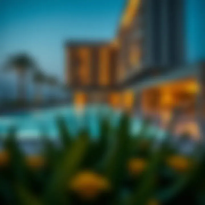 Amenities at Damac Altitude including pool and recreational areas