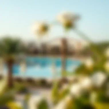 Scenic surroundings of Danat Al Ain Resort