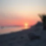 Stunning view of Dibba beach at sunset