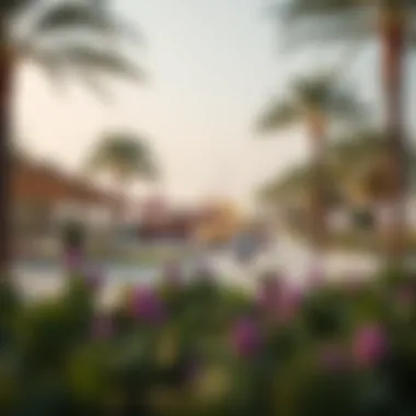 A family-friendly park in Al Rashidiya filled with recreational activities