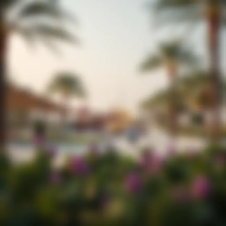 A family-friendly park in Al Rashidiya filled with recreational activities