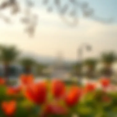 Al Qusais Community Park View of Al Qusais community park