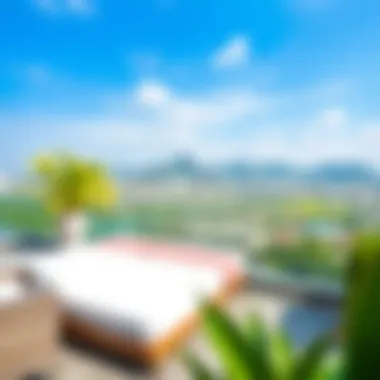 Scenic Vistas from Ascot Residences Breathtaking views from Ascot Residences