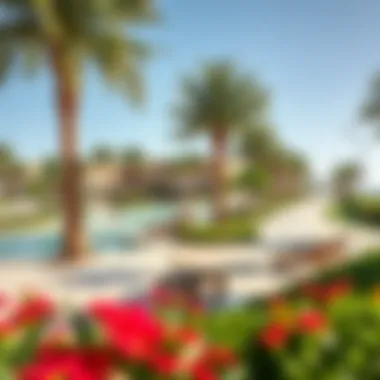 Leisure Spaces on Blue Water Island Vibrant leisure spaces with lush greenery and recreational areas on the island.