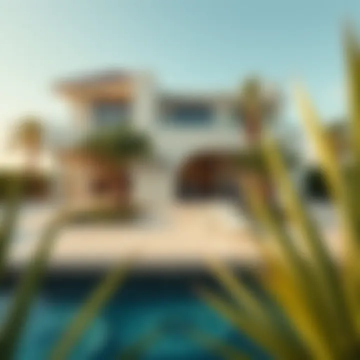 Luxurious villa with private pool on a Frond