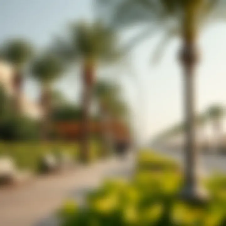 Lush Greenery at Mamzar Beach Lush greenery and palm trees lining the beachfront promenade
