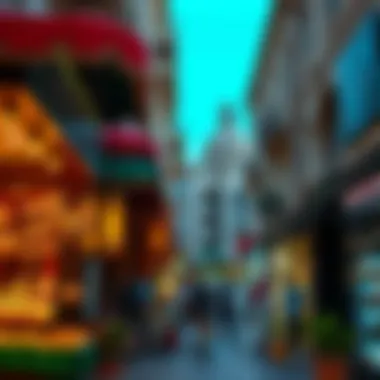 Exploring Meena Bazaar Shops: A Cultural and Commercial Hub in Dubai Summary