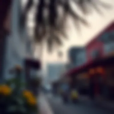 Vibrant neighborhood view in Al Nahda 2, Dubai