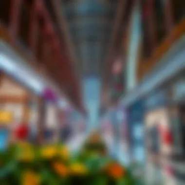 A vibrant shopping area inside النخيل مول with a variety of retail stores.