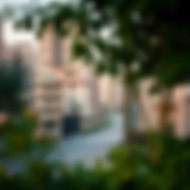 Surrounding neighborhood of one-bedroom apartments near Dafza Metro