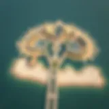 Aerial view of Palm Jumaira showcasing its iconic shape and luxurious developments