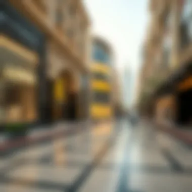 Exclusive shopping district featuring designer stores