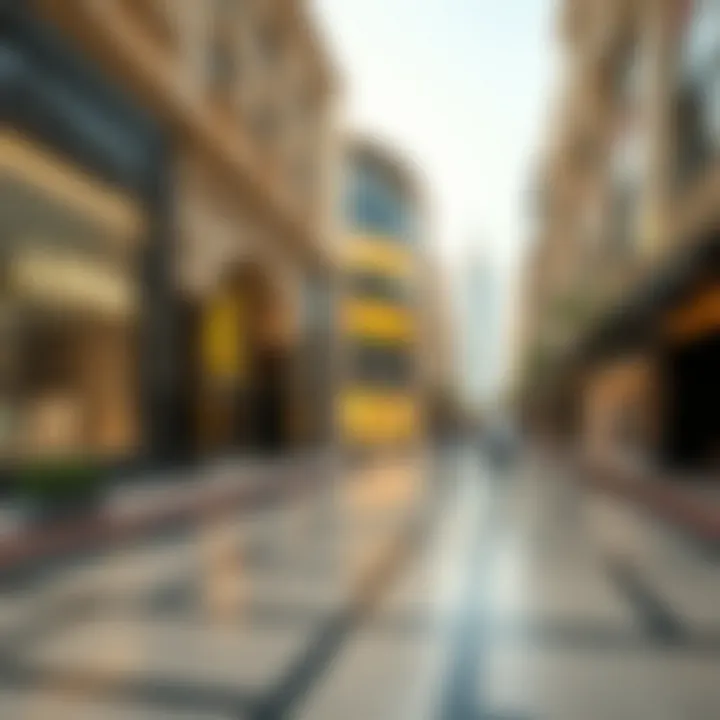 Exclusive shopping district featuring designer stores