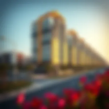 Stylish residential buildings along شارع واسط reflecting modern Dubai architecture