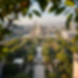 Aerial view showcasing the lush greenery of شويفات العين