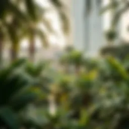 Lush greenery in Dubai's botanical garden