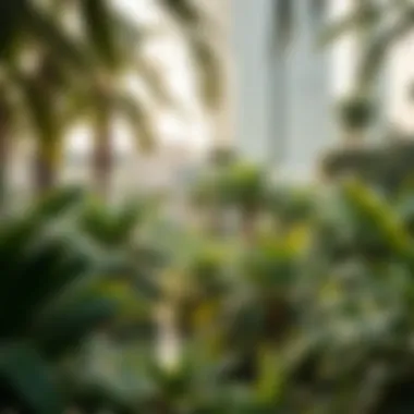 Lush greenery in Dubai's botanical garden