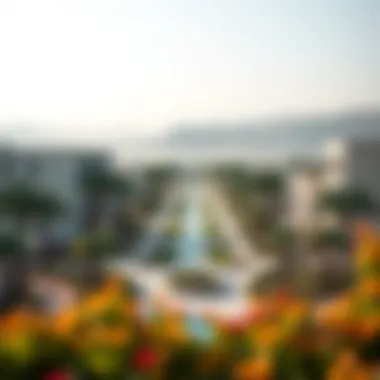 Scenic park within a residential area