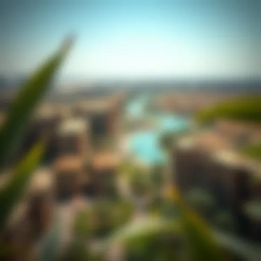 Aerial view showcasing the harmonious blend of nature and urban development in Wadi Dubai.