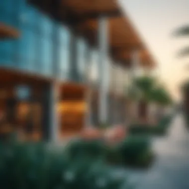 Vibrant Community Spaces Vibrant community spaces fostering social engagement and connectivity in Wadi Dubai.