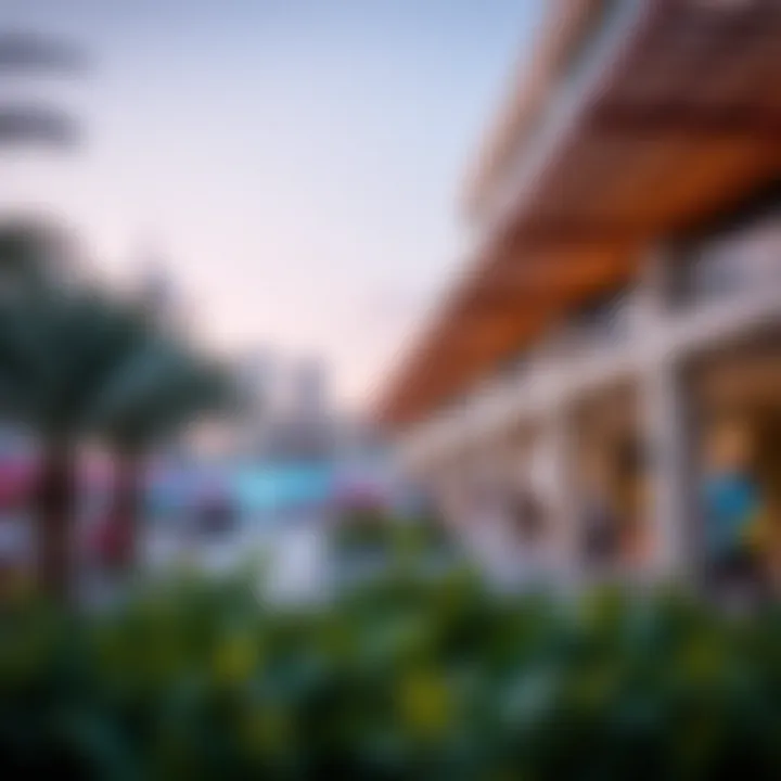 Vibrant community spaces and lifestyle amenities available in Wadi Hub.