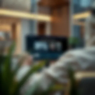 Visual representation of the online application interface