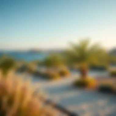 Seasonal changes in Ras Al Khor Wildlife Sanctuary