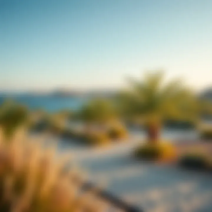 Seasonal changes in Ras Al Khor Wildlife Sanctuary