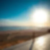 Scenic view of Ras Al Khor Wildlife Sanctuary