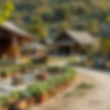 Local Community and Sustainability A serene rural community embracing sustainability and local traditions