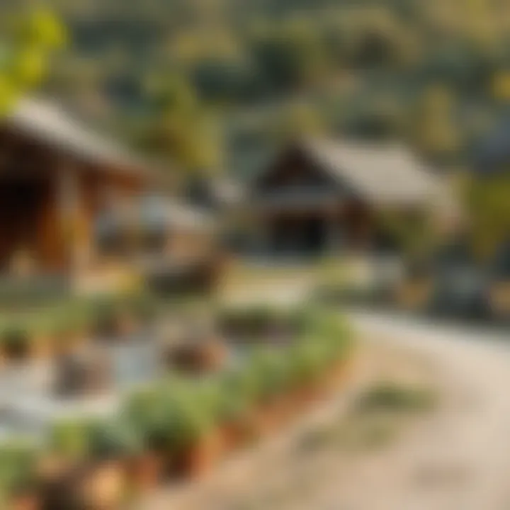 Local Community and Sustainability A serene rural community embracing sustainability and local traditions