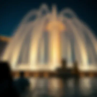 Dazzling Water Jets of the Palm Fountain Close-up of the dazzling water jets of the Palm Fountain