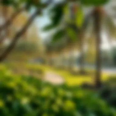 Lush greenery and walking paths in Wasl Green Park