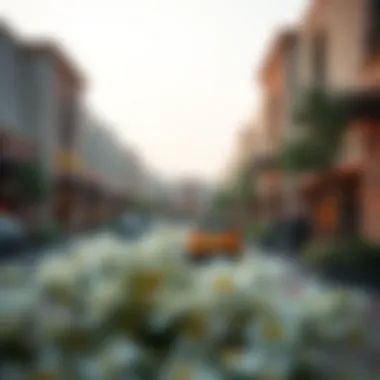 Community events at Wasl Village Retail Center