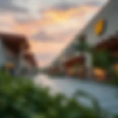 Future development plans for Wasl Village