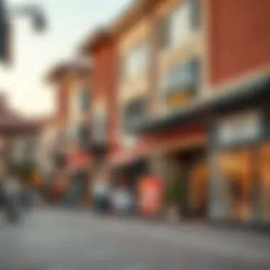 Diverse retail offerings at Wasl Village